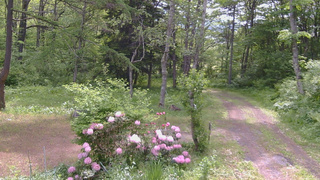 長野県菅平高原 ゆたか山荘 坂上 2026/05/31 09:15