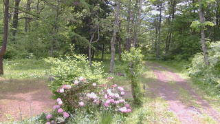 長野県菅平高原 ゆたか山荘 坂上 2026/05/31 09:45