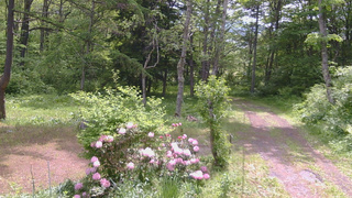 長野県菅平高原 ゆたか山荘 坂上 2026/05/31 10:00