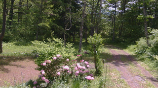長野県菅平高原 ゆたか山荘 坂上 2026/05/31 10:30
