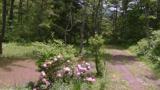 長野県菅平高原 ゆたか山荘 坂上 2026/05/31 10:45