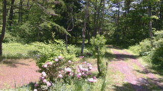 長野県菅平高原 ゆたか山荘 坂上 2026/05/31 11:15