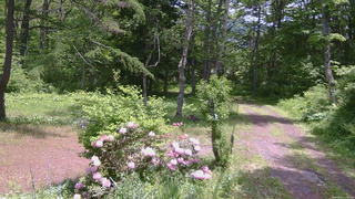 長野県菅平高原 ゆたか山荘 坂上 2026/05/31 11:45