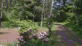 長野県菅平高原 ゆたか山荘 坂上 2026/05/31 14:00
