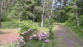 長野県菅平高原 ゆたか山荘 坂上 2026/05/31 14:15