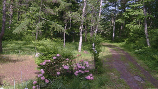 長野県菅平高原 ゆたか山荘 坂上 2026/05/31 14:30