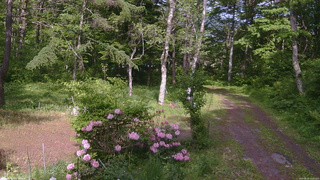 長野県菅平高原 ゆたか山荘 坂上 2026/05/31 14:45