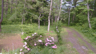 長野県菅平高原 ゆたか山荘 坂上 2026/05/31 15:00