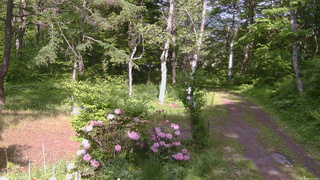 長野県菅平高原 ゆたか山荘 坂上 2026/05/31 15:15
