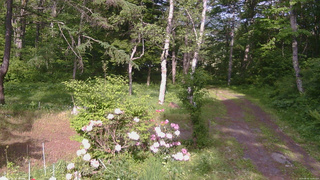 長野県菅平高原 ゆたか山荘 坂上 2026/05/31 15:45