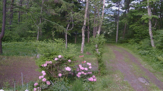 長野県菅平高原 ゆたか山荘 坂上 2026/05/31 17:30