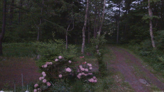 長野県菅平高原 ゆたか山荘 坂上 2026/05/31 19:15
