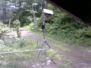 長野県菅平高原 ゆたか山荘 南側 2026/06/01 12:15