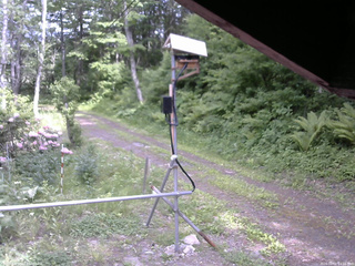 長野県菅平高原 ゆたか山荘 南側 2026/06/01 14:15