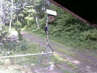 長野県菅平高原 ゆたか山荘 南側 2026/06/01 14:30