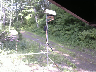 長野県菅平高原 ゆたか山荘 南側 2026/06/01 14:45
