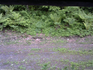 長野県菅平高原 ゆたか山荘 東側(坂下) 2026/06/01 18:45