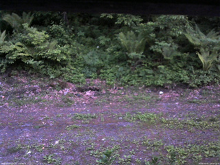 長野県菅平高原 ゆたか山荘 東側(坂下) 2026/06/01 19:00
