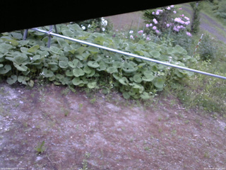 長野県菅平高原 ゆたか山荘 駐車場 2026/06/01 05:00