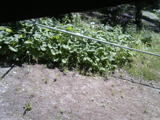 長野県菅平高原 ゆたか山荘 駐車場 2026/06/01 09:00