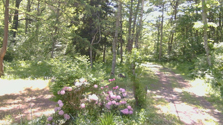 長野県菅平高原 ゆたか山荘 坂上 2026/06/01 08:30