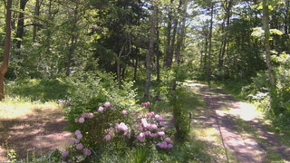 長野県菅平高原 ゆたか山荘 坂上 2026/06/01 08:45
