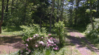 長野県菅平高原 ゆたか山荘 坂上 2026/06/01 09:30