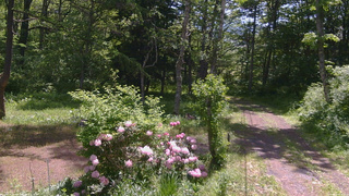 長野県菅平高原 ゆたか山荘 坂上 2026/06/01 09:45