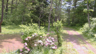 長野県菅平高原 ゆたか山荘 坂上 2026/06/01 10:00
