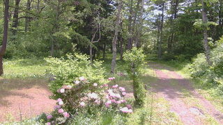 長野県菅平高原 ゆたか山荘 坂上 2026/06/01 10:15