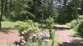 長野県菅平高原 ゆたか山荘 坂上 2026/06/01 11:15