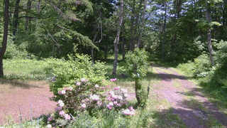 長野県菅平高原 ゆたか山荘 坂上 2026/06/01 11:45