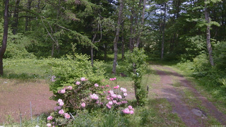 長野県菅平高原 ゆたか山荘 坂上 2026/06/01 12:30