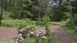 長野県菅平高原 ゆたか山荘 坂上 2026/06/01 12:45