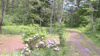 長野県菅平高原 ゆたか山荘 坂上 2026/06/01 13:00