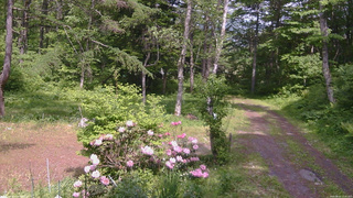 長野県菅平高原 ゆたか山荘 坂上 2026/06/01 13:45