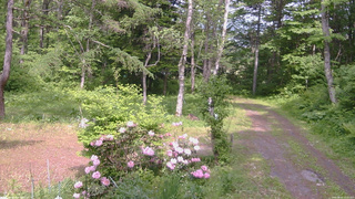 長野県菅平高原 ゆたか山荘 坂上 2026/06/01 14:00