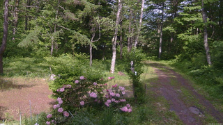 長野県菅平高原 ゆたか山荘 坂上 2026/06/01 14:30