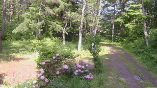 長野県菅平高原 ゆたか山荘 坂上 2026/06/01 14:45