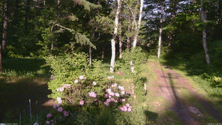 長野県菅平高原 ゆたか山荘 坂上 2026/06/01 17:00