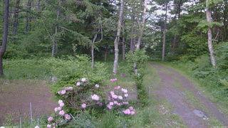 長野県菅平高原 ゆたか山荘 坂上 2026/06/01 18:00