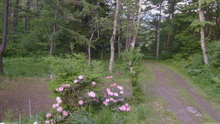 長野県菅平高原 ゆたか山荘 坂上 2026/06/01 18:15