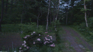 長野県菅平高原 ゆたか山荘 坂上 2026/06/01 19:15