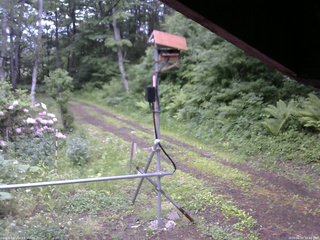 長野県菅平高原 ゆたか山荘 南側 2026/06/02 16:45