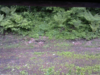 長野県菅平高原 ゆたか山荘 東側(坂下) 2026/06/02 18:15