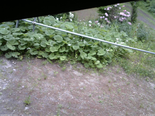 長野県菅平高原 ゆたか山荘 駐車場 2026/06/02 07:15