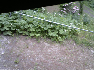 長野県菅平高原 ゆたか山荘 駐車場 2026/06/02 07:45