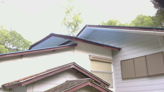 長野県菅平高原 ゆたか山荘 駐車場奥 2026/06/02 06:30