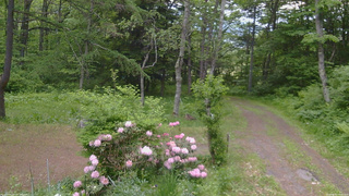 長野県菅平高原 ゆたか山荘 坂上 2026/06/02 05:00