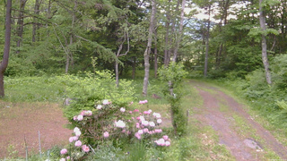 長野県菅平高原 ゆたか山荘 坂上 2026/06/02 05:30